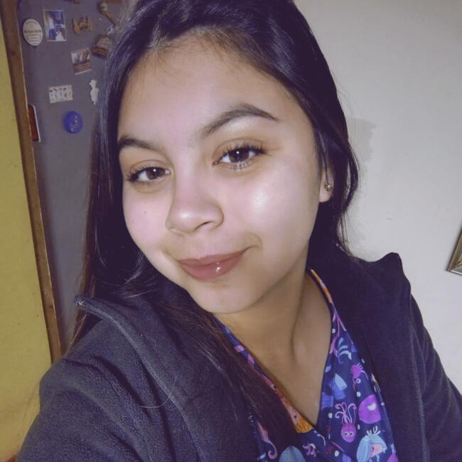 Babysitter in Talca: Eillen