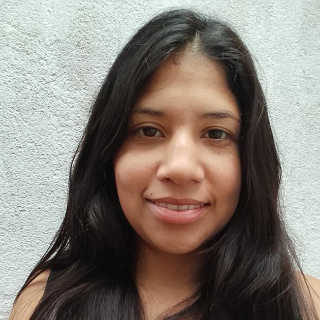 Babysitter in Posadas: Alicia