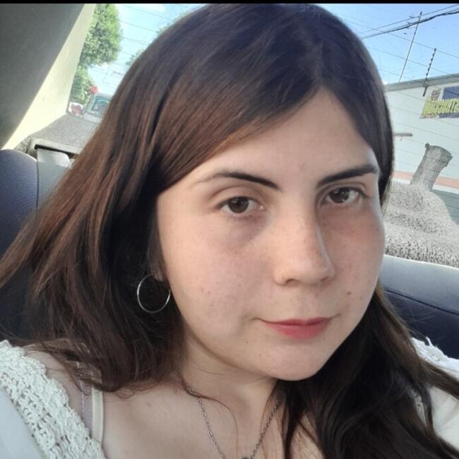 Babysitter in Chillán: Victoria