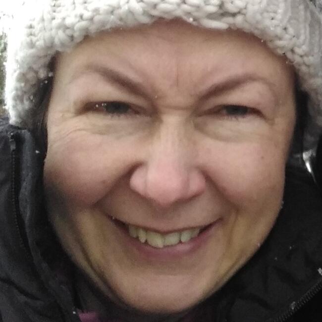 Babysitting job in Cork: Ella