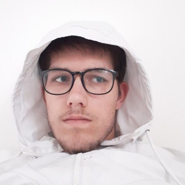 Job de garde d'enfants à Bétaille: Hugo