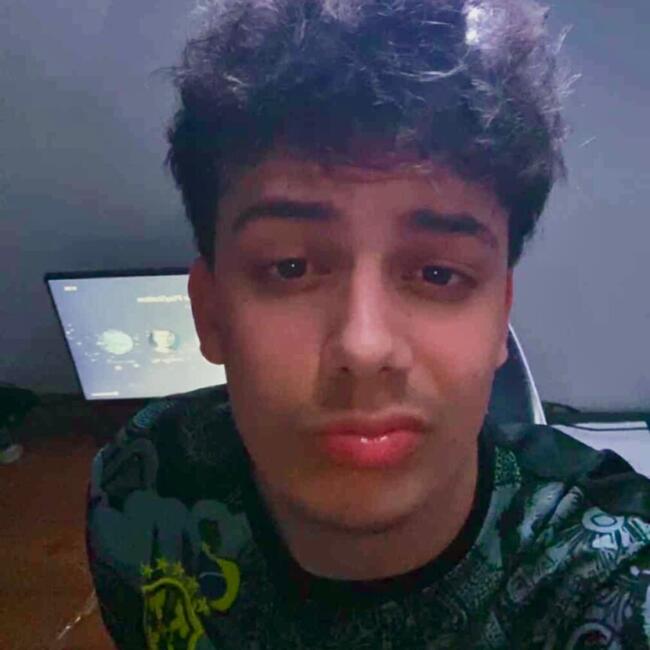 Babysitter in Lyon: Alan