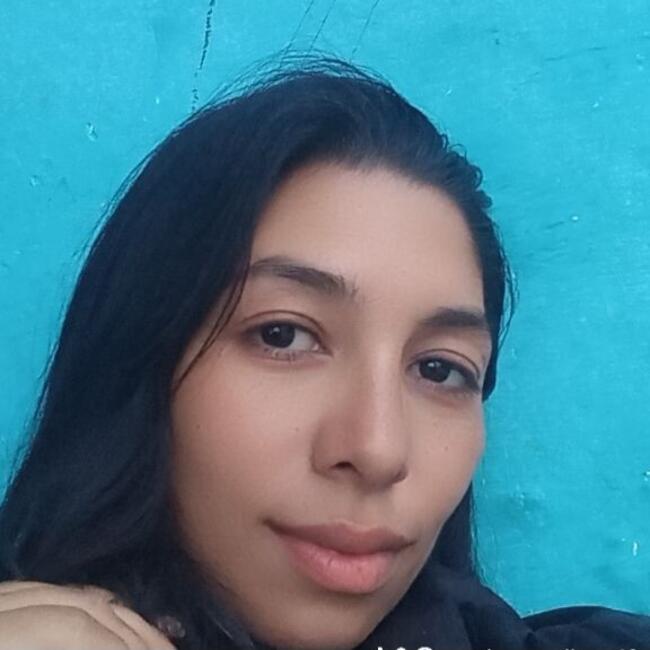 Babysitter in Caracas: Sandra carolina