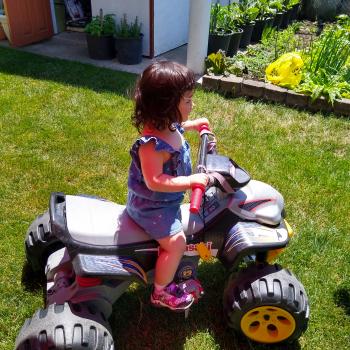 Jobs de baby-sitter à Vaughan: job de garde d'enfants Hui