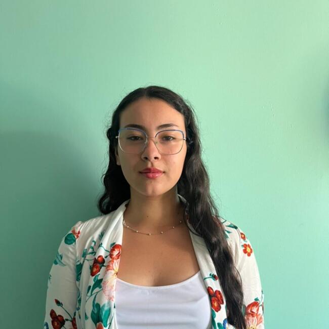 Baby-sitter in Maipú: Anais