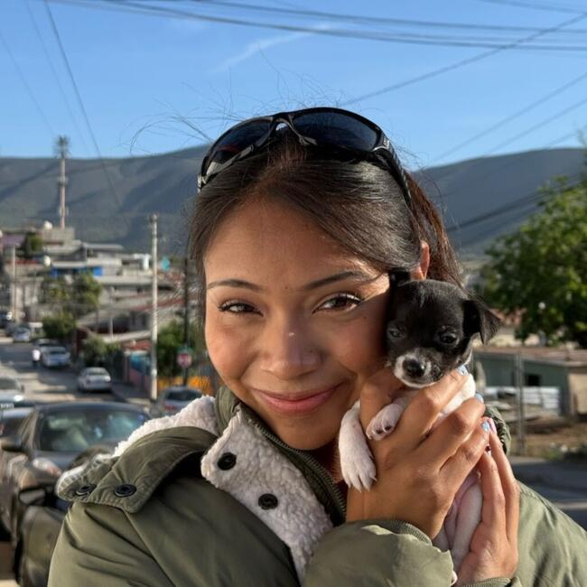 Babysitter in Rodolfo Sánchez Taboada: Evelyn