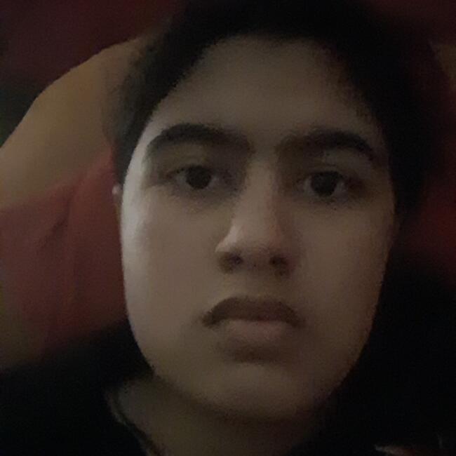 Babysitting job in Alto Hospicio: Raniya