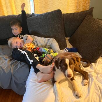 Babysitting job in Hamilton: babysitting job Amanda