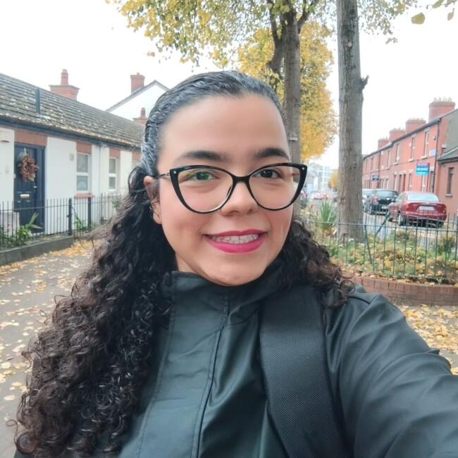 Babysitter in Dublin: Rute