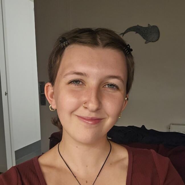 Babysitter in Christchurch: Emily