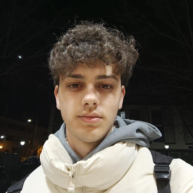 Babysitter in Villanueva de la Cañada: Javier