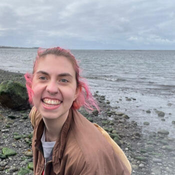 Babysitter in Reykjavik: Cat