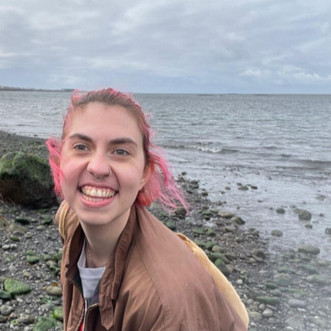 Babysitter in Reykjavik: Cat