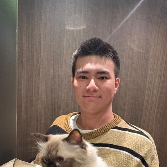 Babysitter in Singapore: Josh