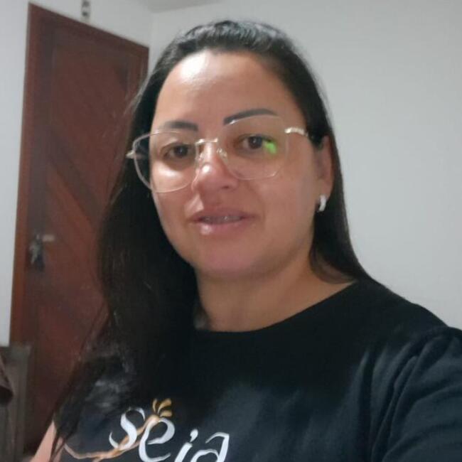 Babysitter in Palhoça: Sueli