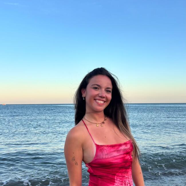 Babysitter in Grenoble: Romane