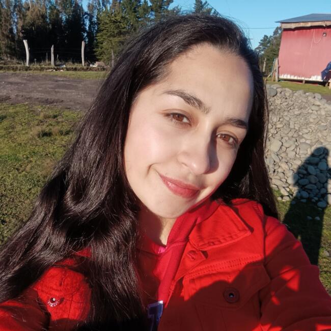 Babysitter in Santiago: Carolina