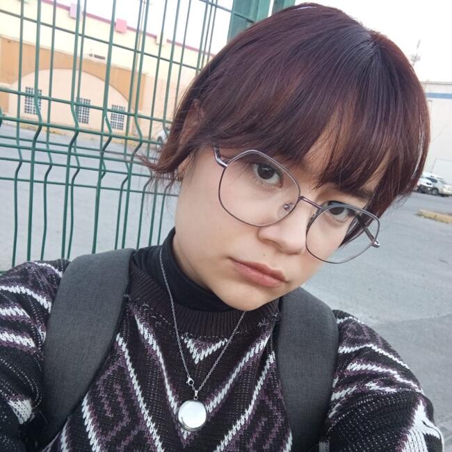 Babysitter in Chihuahua City: Elisa