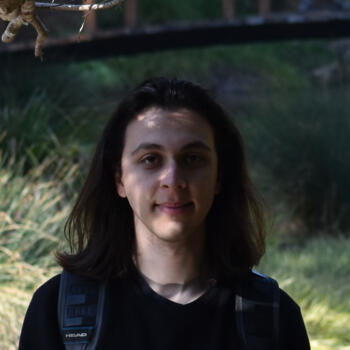 Babysitter in Quilpué: Matías