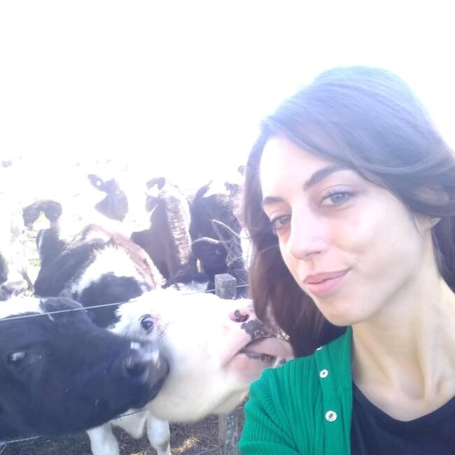 Babysitter in Maldonado: Sol