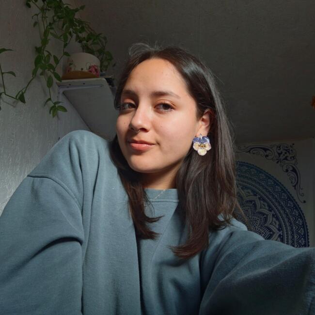 Babysitter in Temuco: Florencia