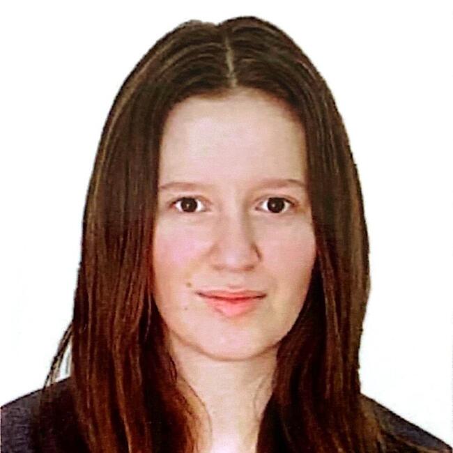 Babysitter in Pontoise: SAIDANI