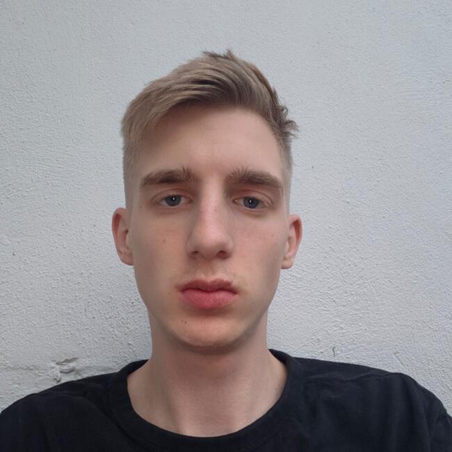 Babysitter in Cork: Filip