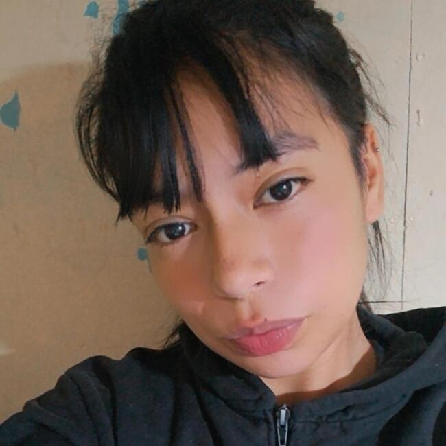 Babysitter in Viña del Mar: Krishna