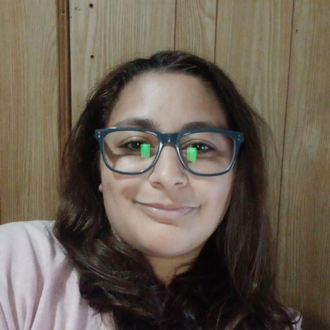 Babysitter in Rosario: Erica