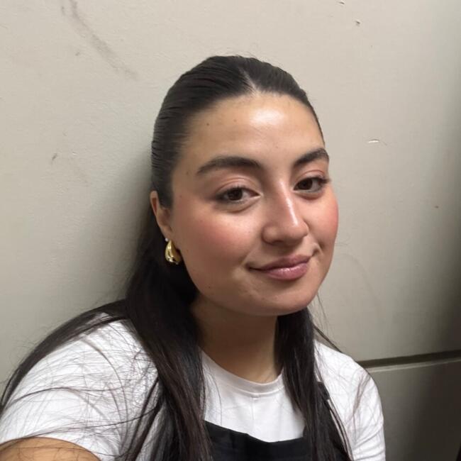 Babysitter in Temuco: Danay