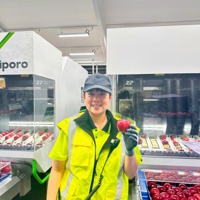 Babysitter στην περιοχή Napier: Aunchalee