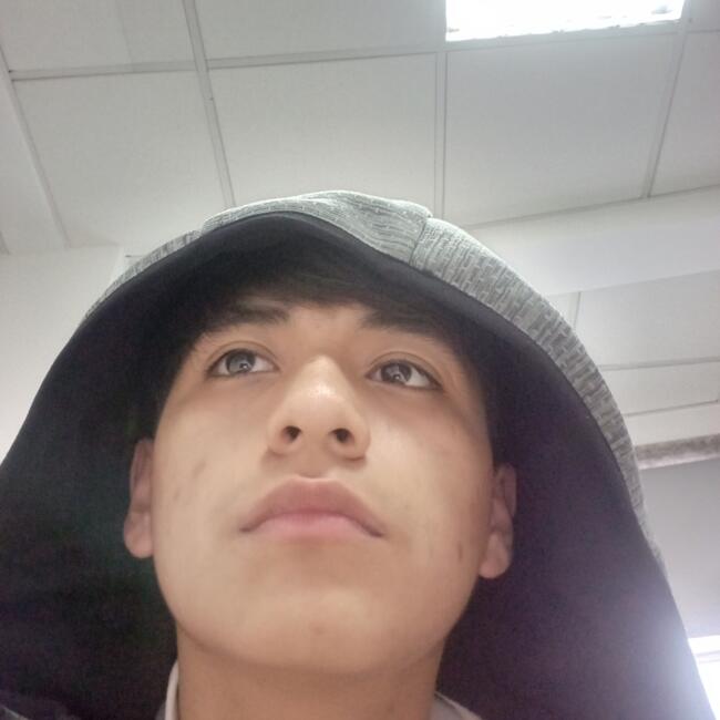 Babysitter in Ames: Sebas