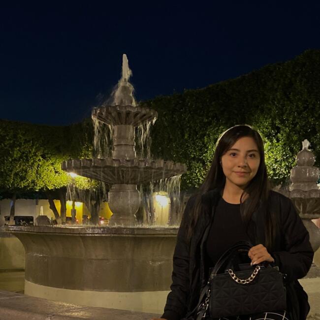 Babysitter in Celaya: Heidi Rangel 