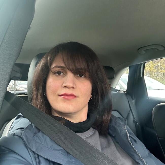 Babysitting job in Zoetermeer: Fatemeh