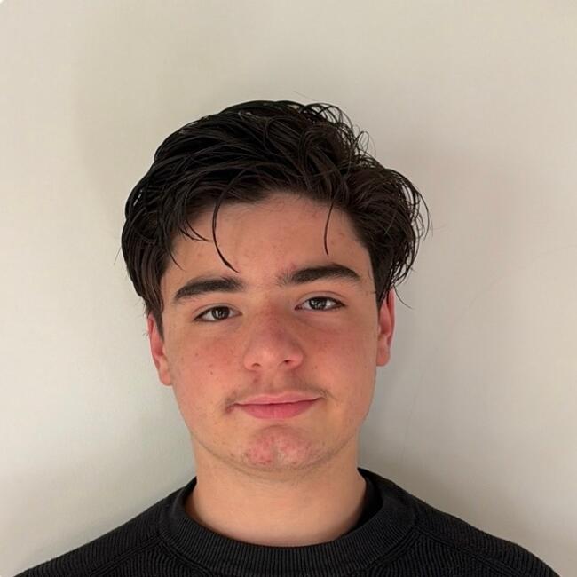 Babysitter in Angers: Noah