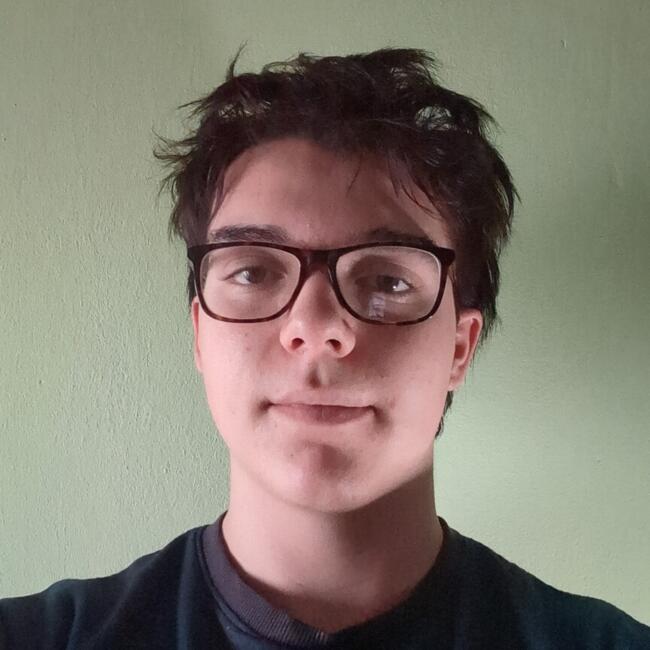 Babysitter in Morbegno: Alfredo