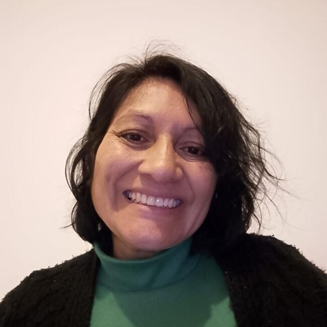 Babysitter in Santiago: Gladys del valle