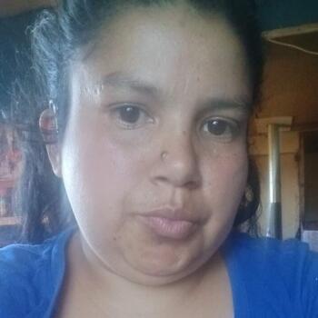 Babysitter in Temuco: Daysi