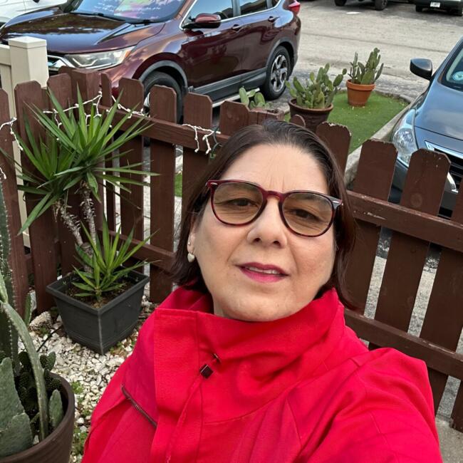 Babysitter in Sorocaba: Odiclea Rocha Sahdo