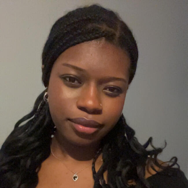 Babysitter in Paris: NOGOFEREMA