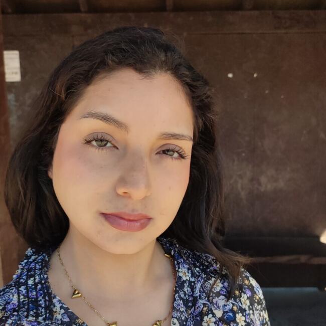 Babysitter in Valdivia: Katia Roldán