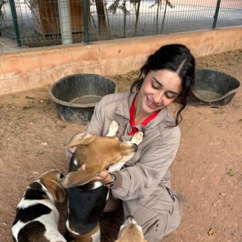Babysitter in Béziers: Manon