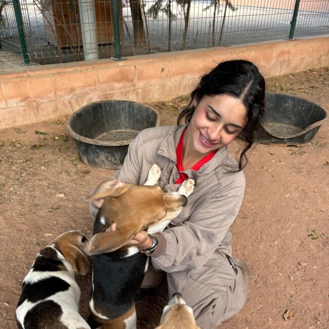 Babysitter in Béziers: Manon