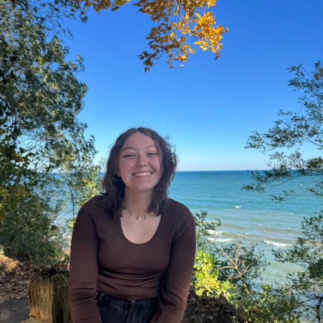 Babysitter in Milwaukee: Samantha and Emaan