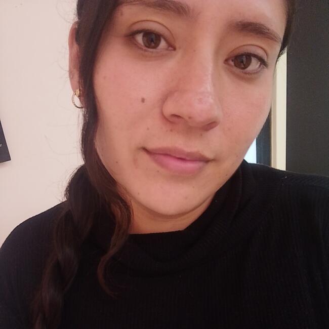 Babysitter in Aguascalientes: Perla