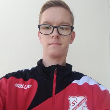 Babysitter in Cottbus: Tim