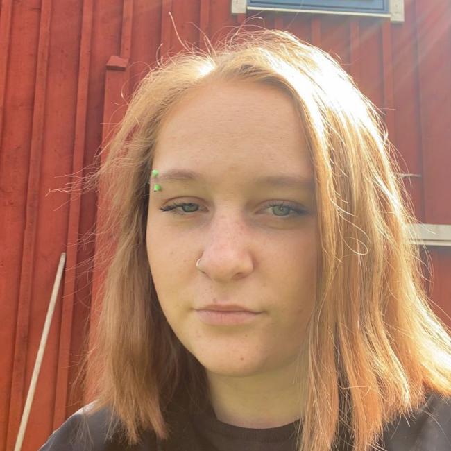 Babysitter in Vänersborg: Wilma