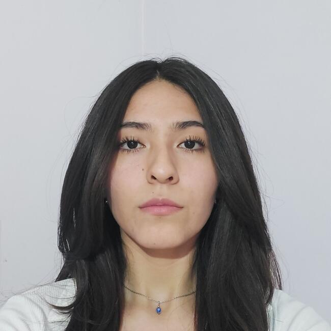 Babysitter in Ciudadela: Lore