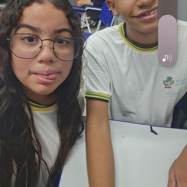 Babysitter in Valparaíso de Goiás: Milena e micael