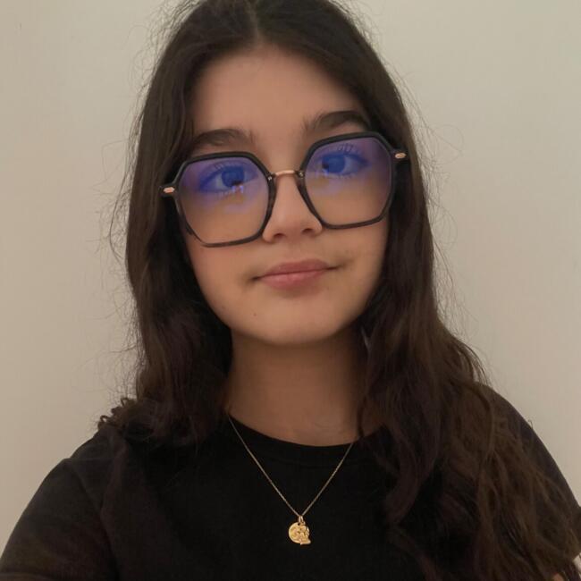 Babysitter in Montigny-le-Bretonneux: Laura